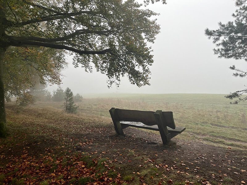 Foto van een bankje, vroeg in de ochtend in de mist. Symbool voor een frisse start.